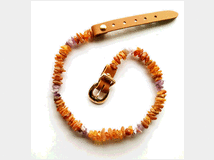 Attrezzature e accessori per animali