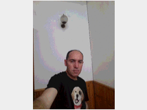 amorosa-salve-cerco-una 